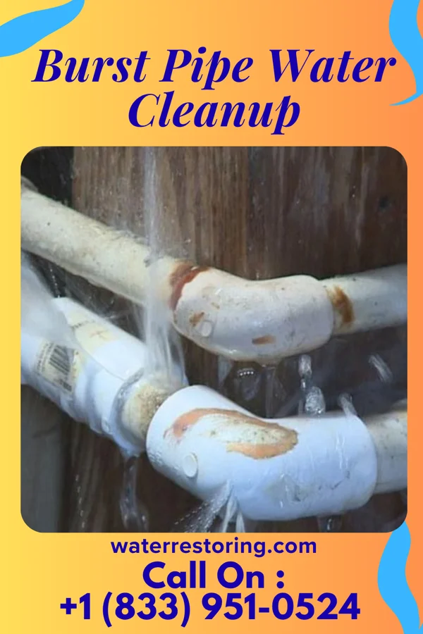 Burst Pipe Water Cleanup in Tarlton, OH
