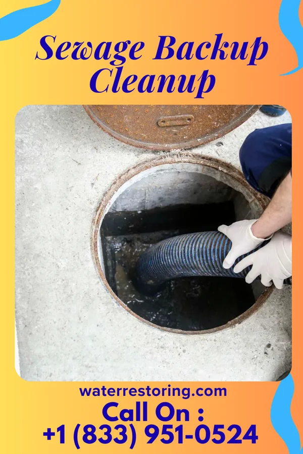 Sewage Backup Cleanup in Tarlton, OH